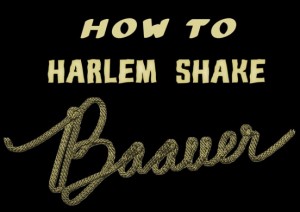 HarlemShake