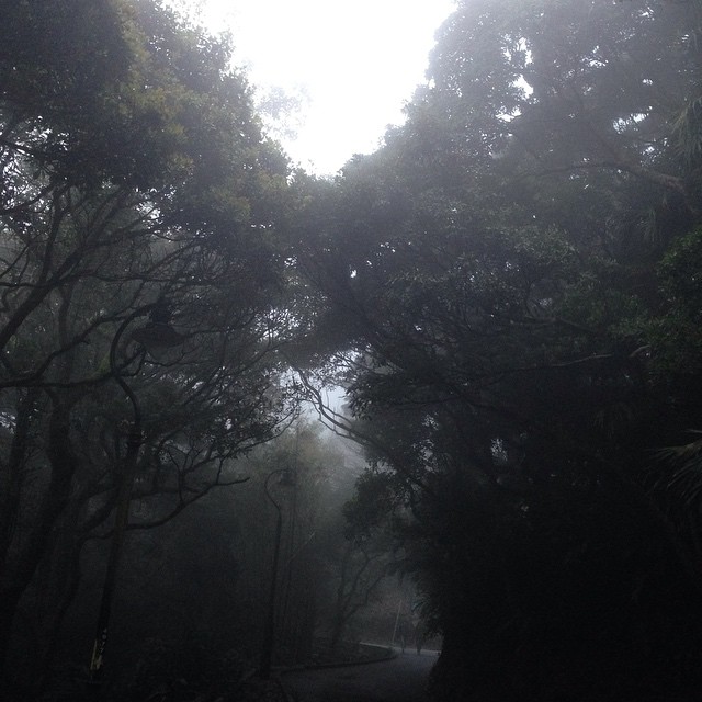 Foggy day @ The Peak. Keep walking up to the top. #fog #thepeak #lambilly