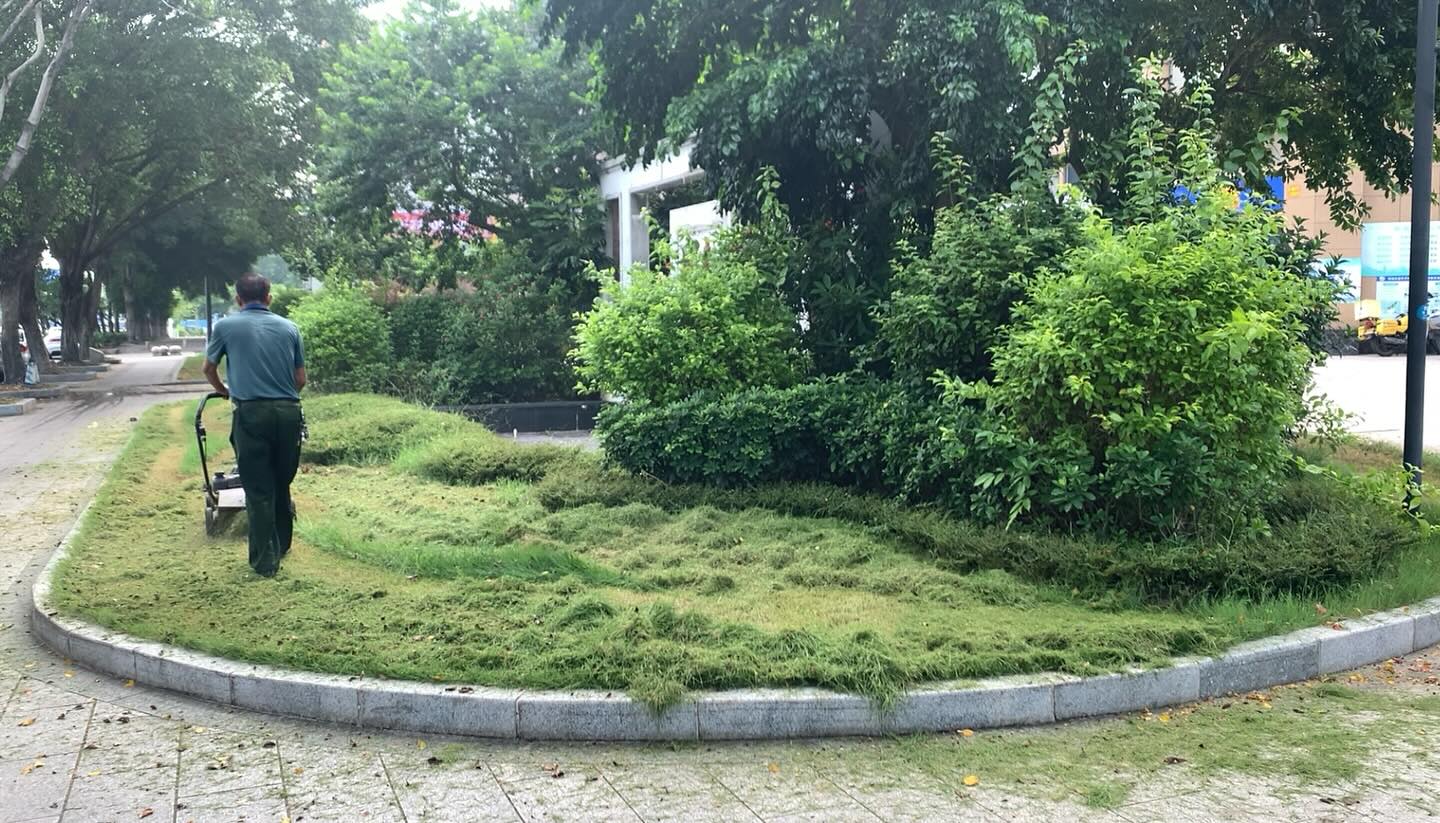 It’s time to cut the grass!